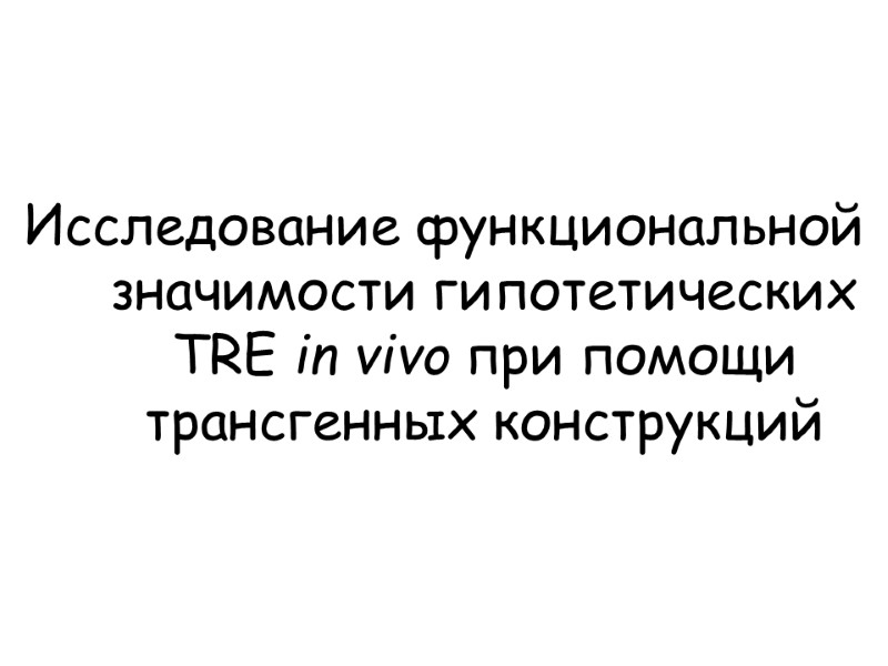 Исследование функциональной значимости гипотетических TRE in vivo при помощи трансгенных конструкций